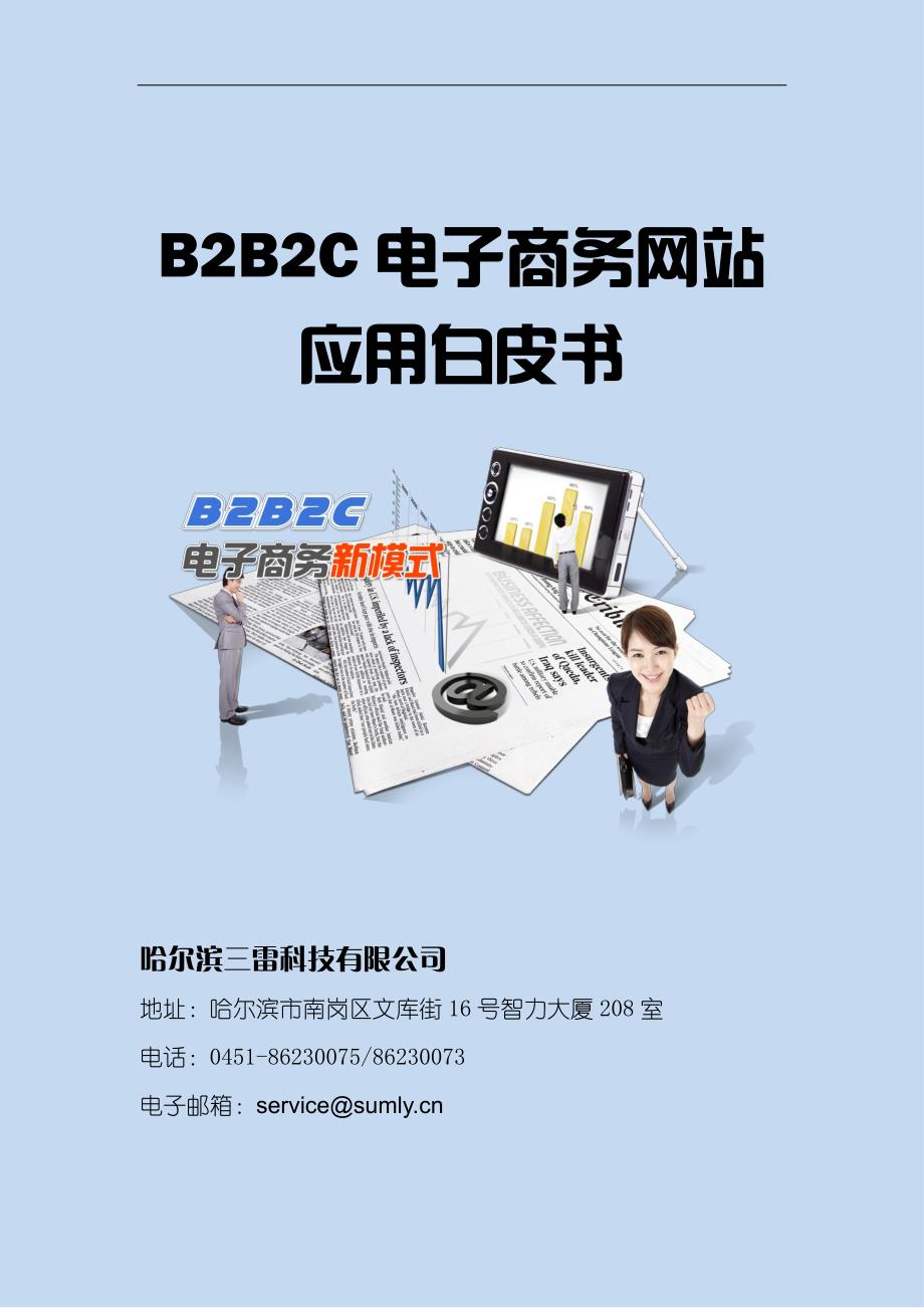 B2B电子商务网站解决方案计划书_第1页