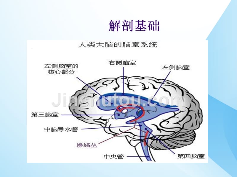 课件：侧脑室穿刺术_第3页