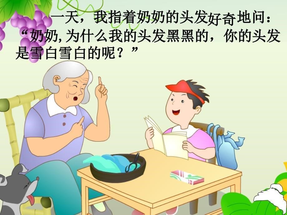 奶奶的白发课件正式_第5页