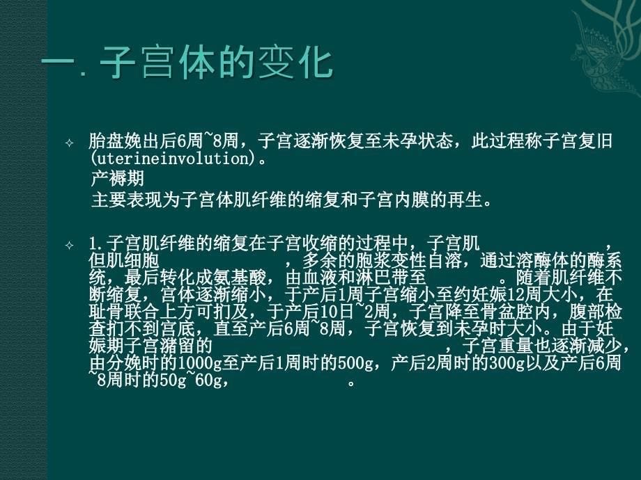 课件：生殖系统的变化_第5页