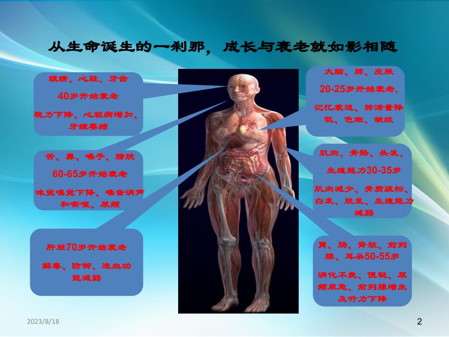 课件：中医预防与养生保健科普知识讲座ppt课件_第2页