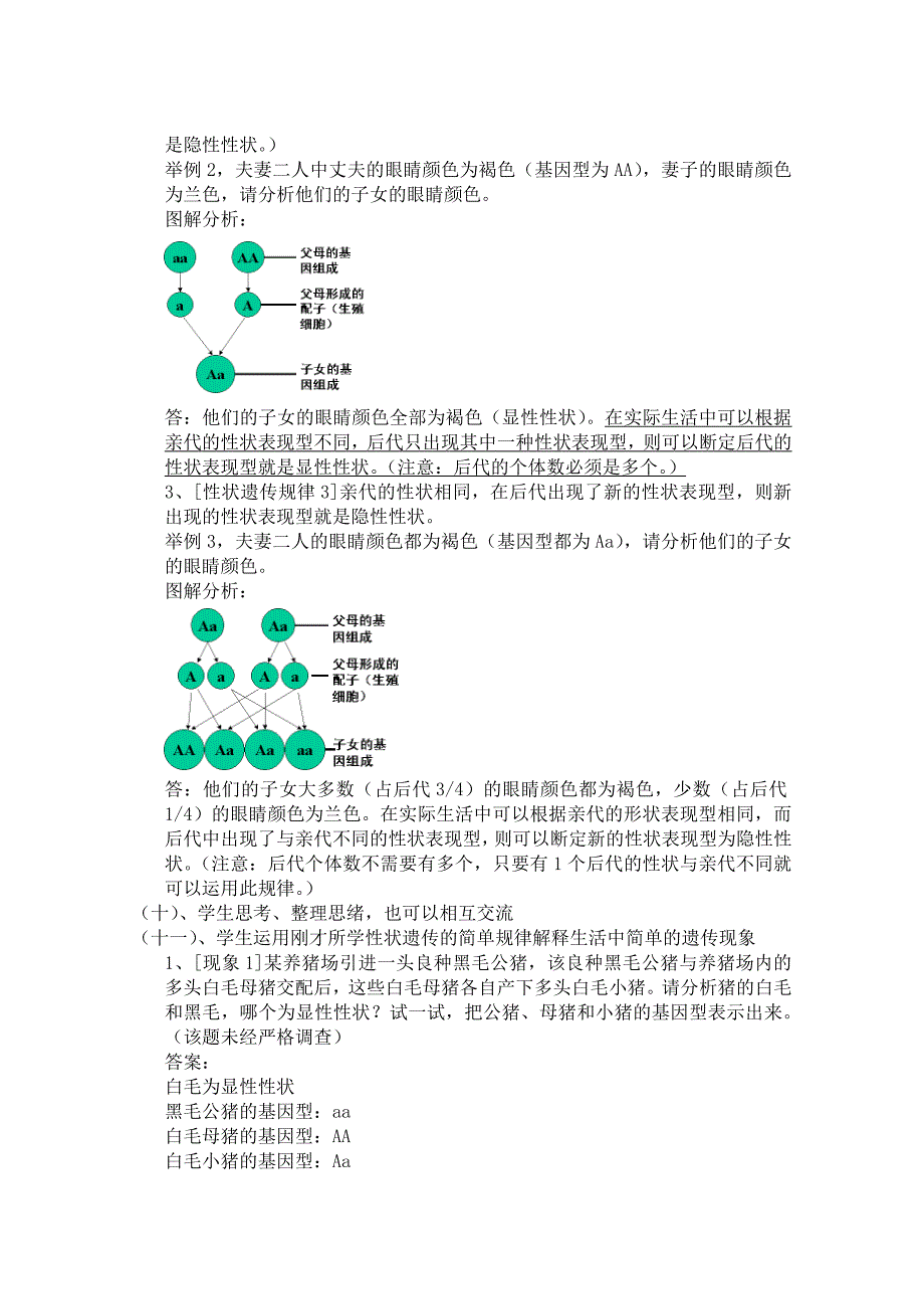 云南的歌会（教案）_第4页