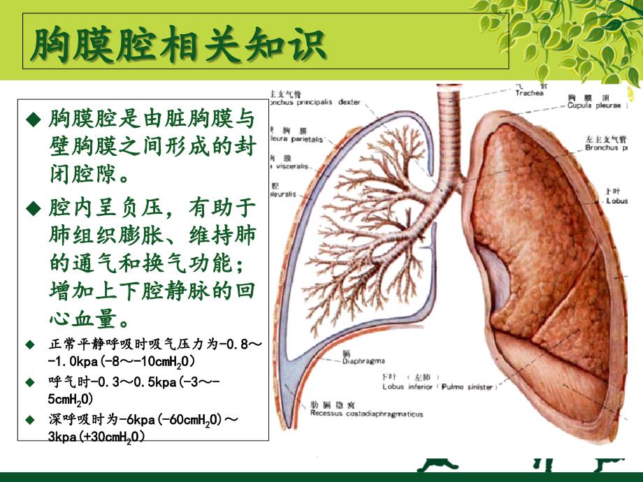 气胸围手术期护理_第3页