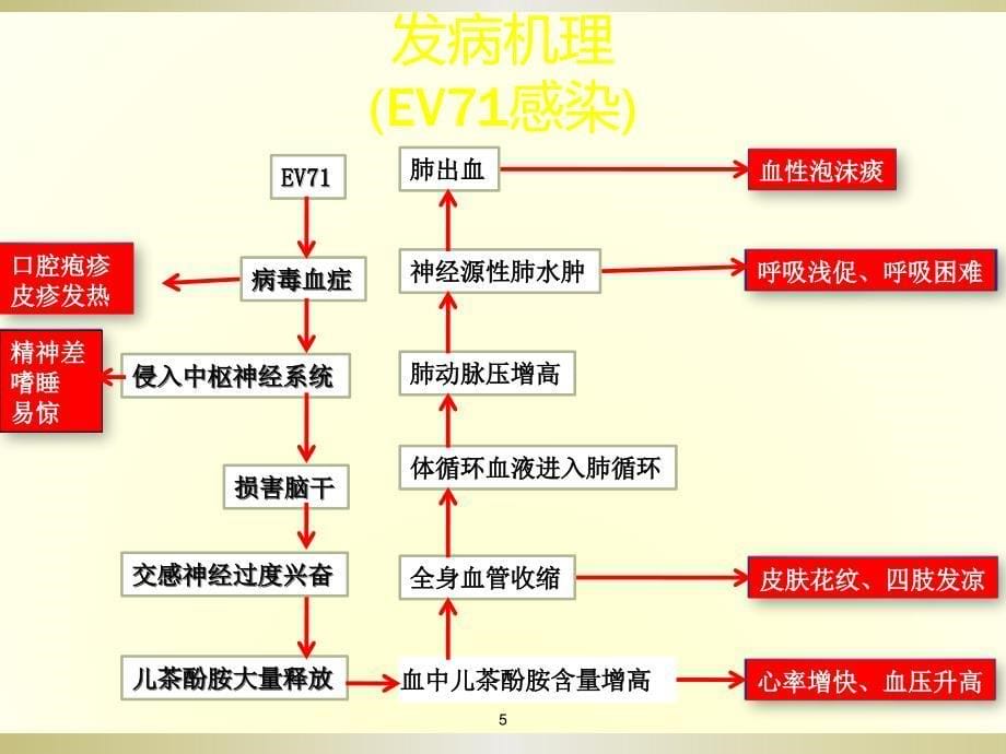 课件：手足口病救治 ppt课件_第5页