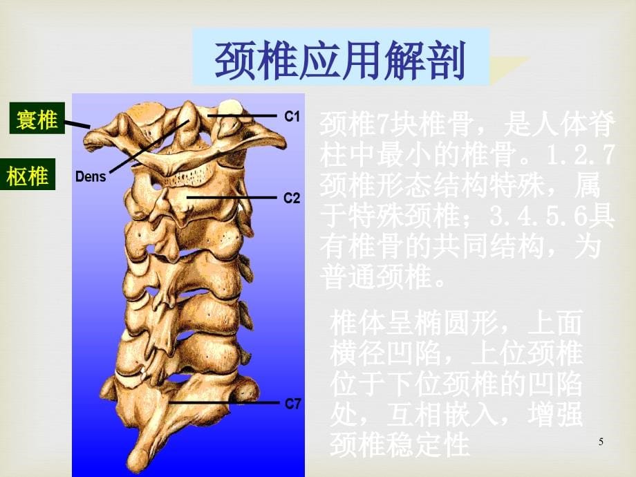 课件：手法治疗颈椎病技术应用ppt课件_第5页