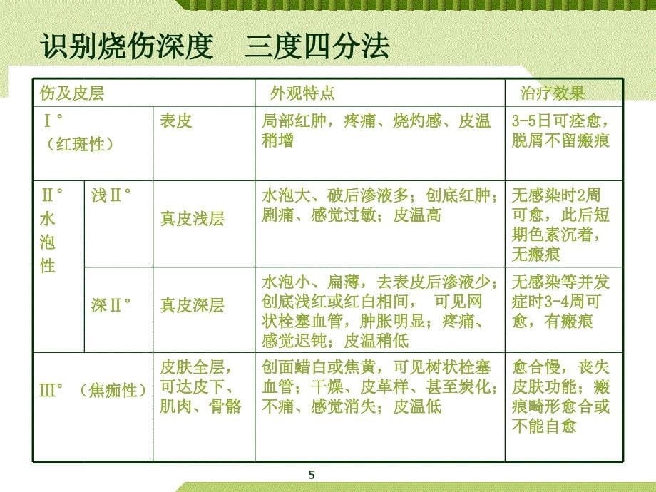 课件：烧伤病理分析ppt课件_第5页