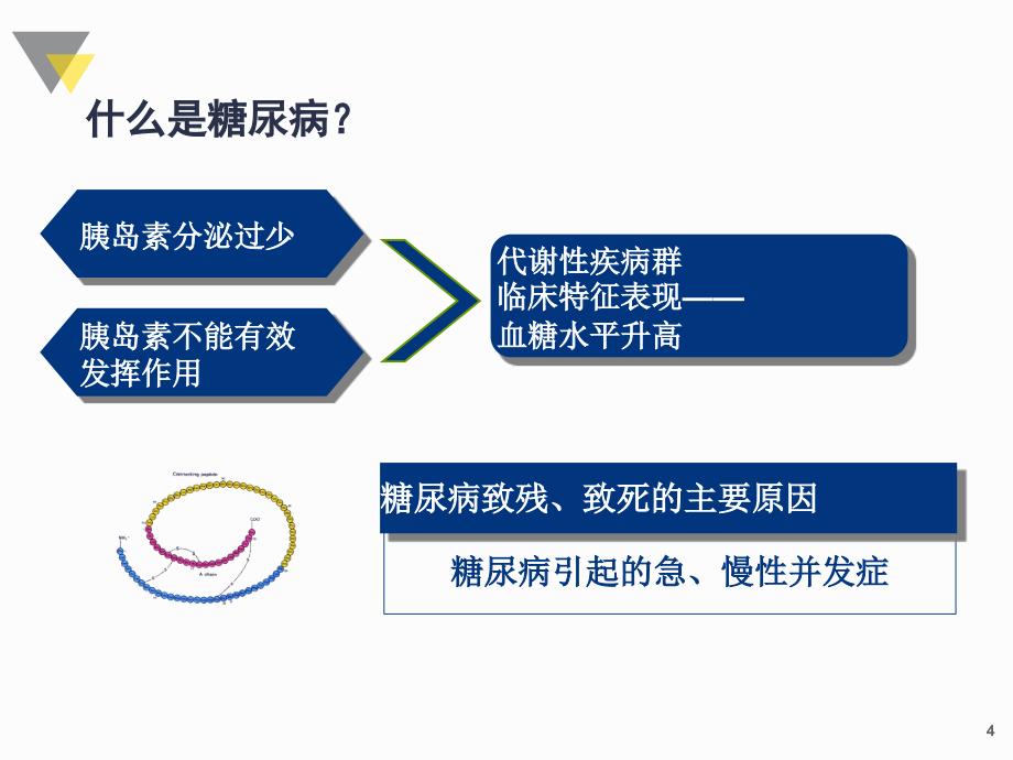 课件：2糖尿病基础知识_第4页