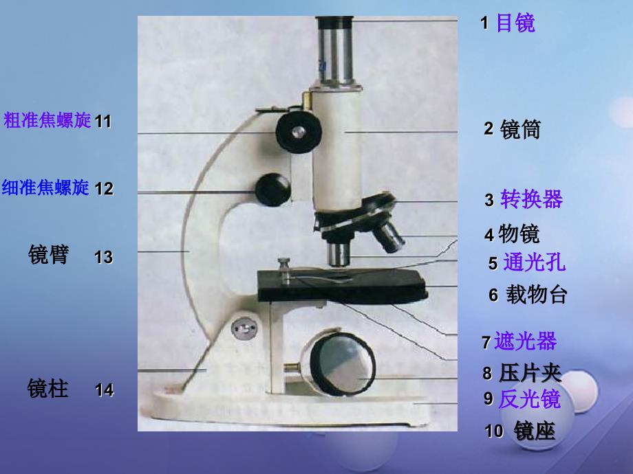 中考生物七上专题一细胞和生物课件_第2页