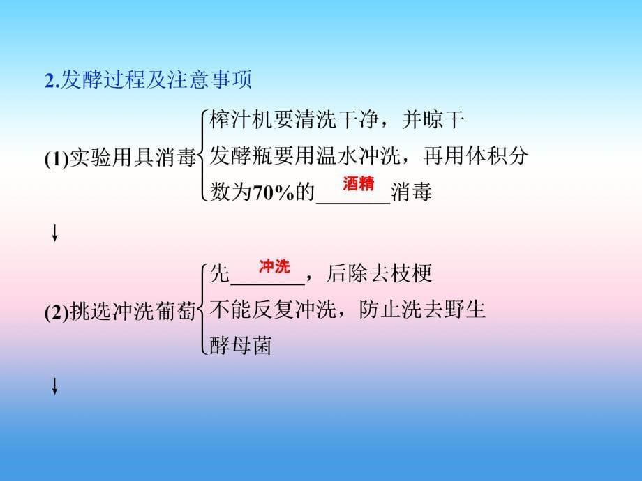 2019届高考生物（人教版）一轮总复习课件：第12单元 生物技术实践 第40讲 生物技术在食品加工方面的应用_第5页