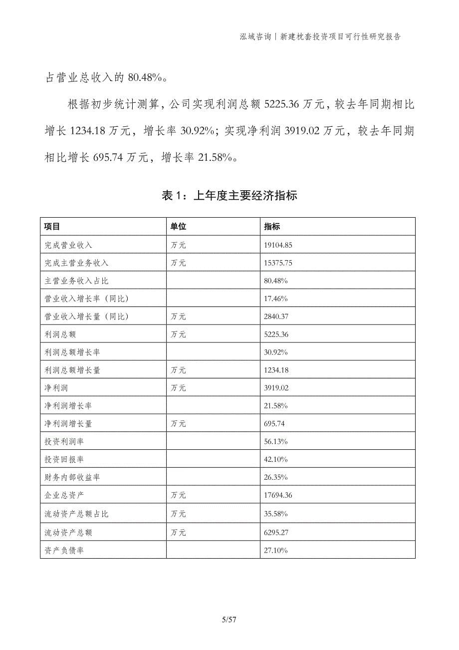 新建枕套投资项目可行性研究报告_第5页