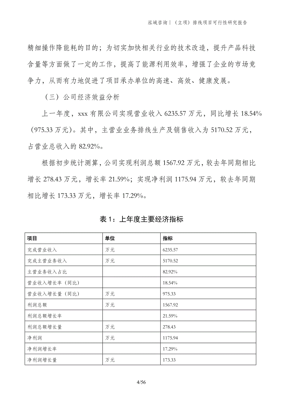 （立项）排线项目可行性研究报告_第4页