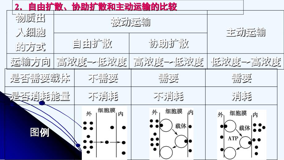 g1308+物质跨膜运输的方式_第3页