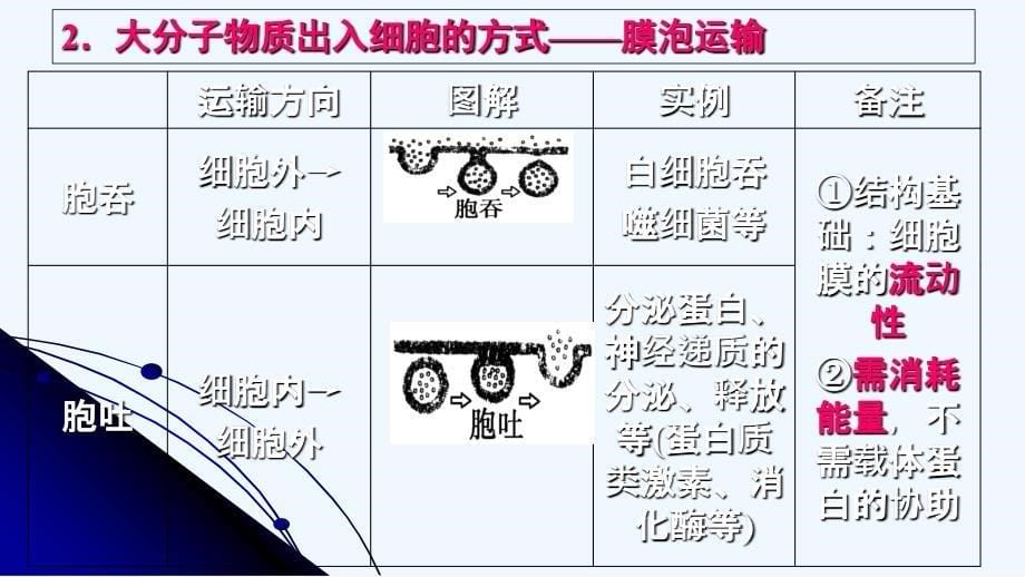 g1308+物质跨膜运输的方式_第5页