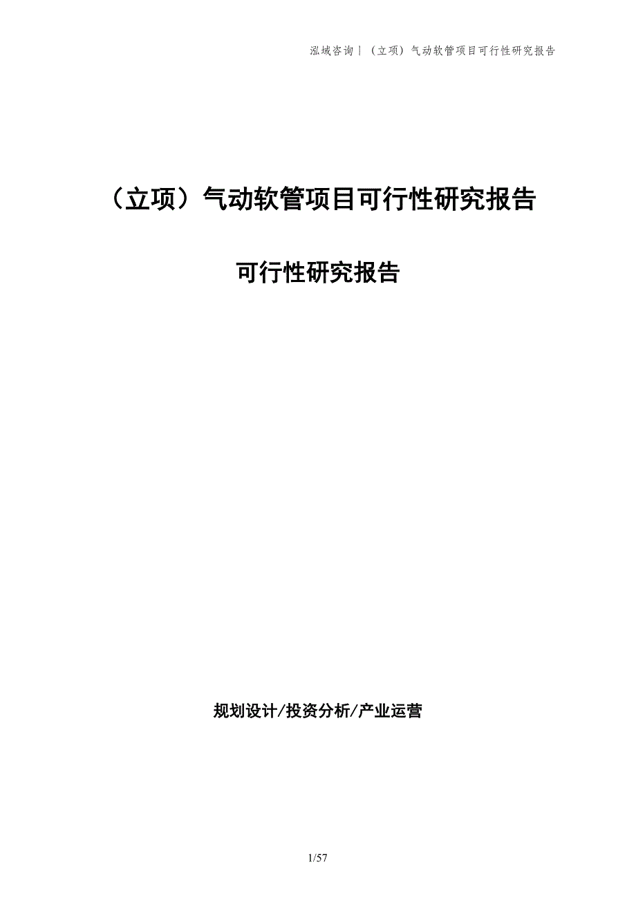 （立项）气动软管项目可行性研究报告_第1页