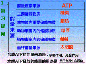 5.3-ATP的主要来源—细胞呼吸ppt