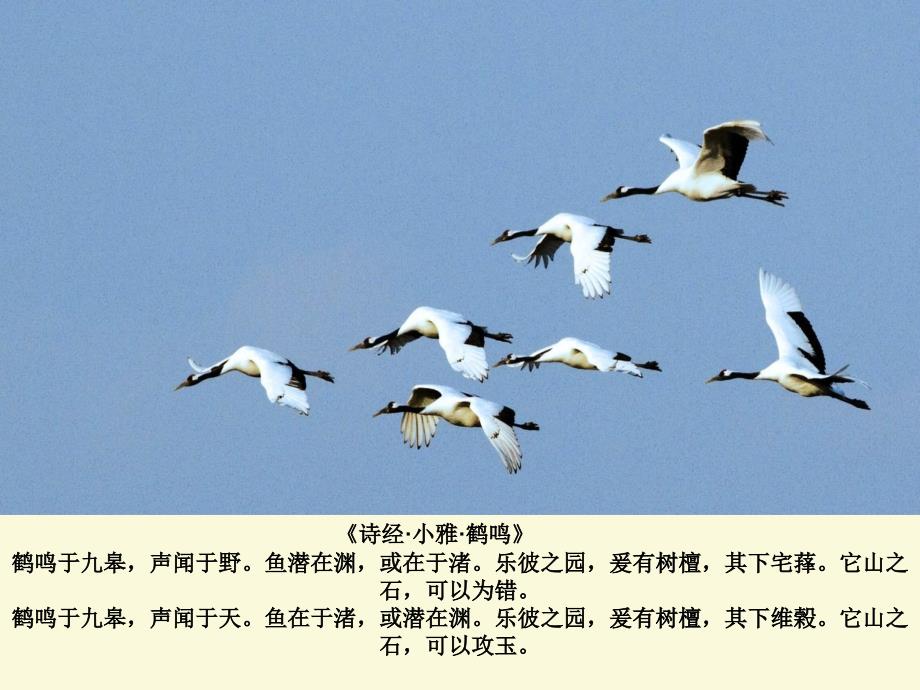 《诗经·小雅·鹤鸣》_第1页