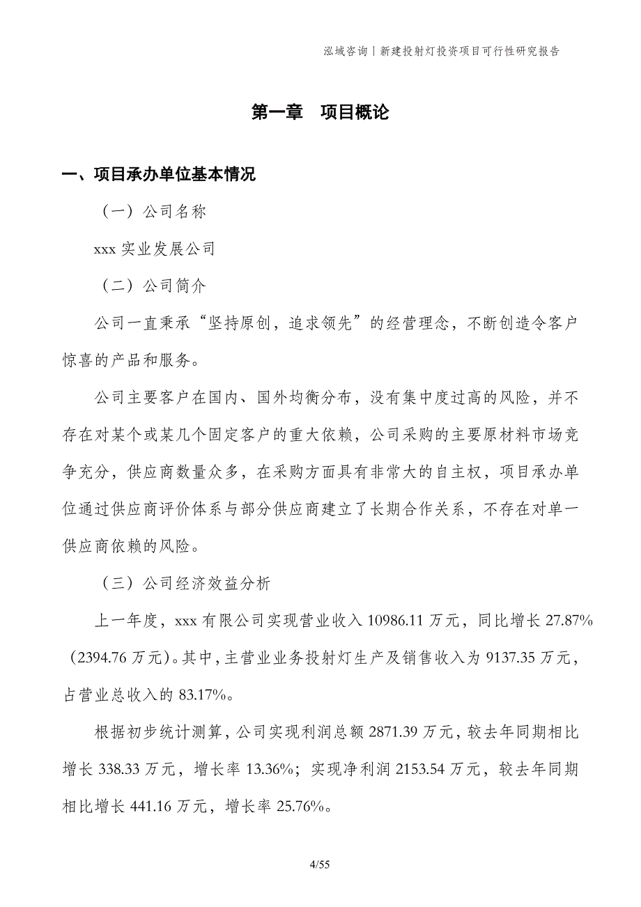 新建投射灯投资项目可行性研究报告_第4页