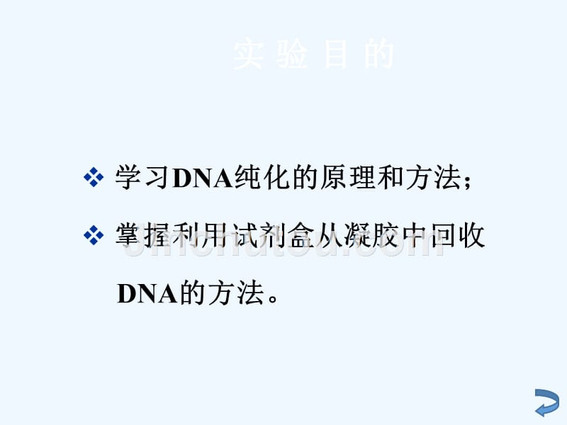 分子实验三+核酸的琼脂糖凝胶回收技术_第4页