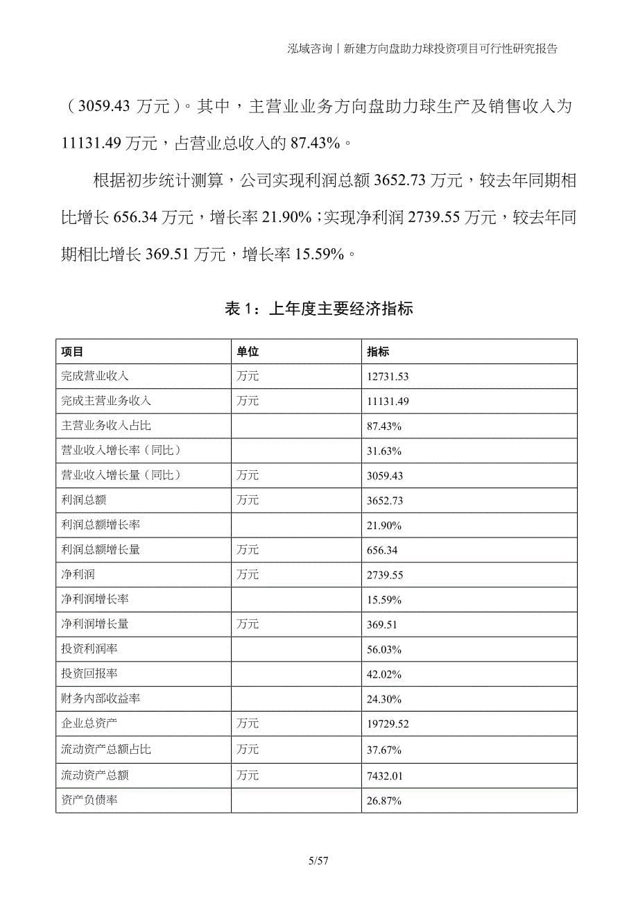 新建方向盘助力球投资项目可行性研究报告_第5页