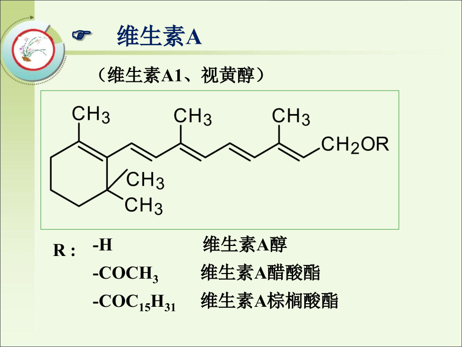 药物分析：维生素类药物的分析_第4页