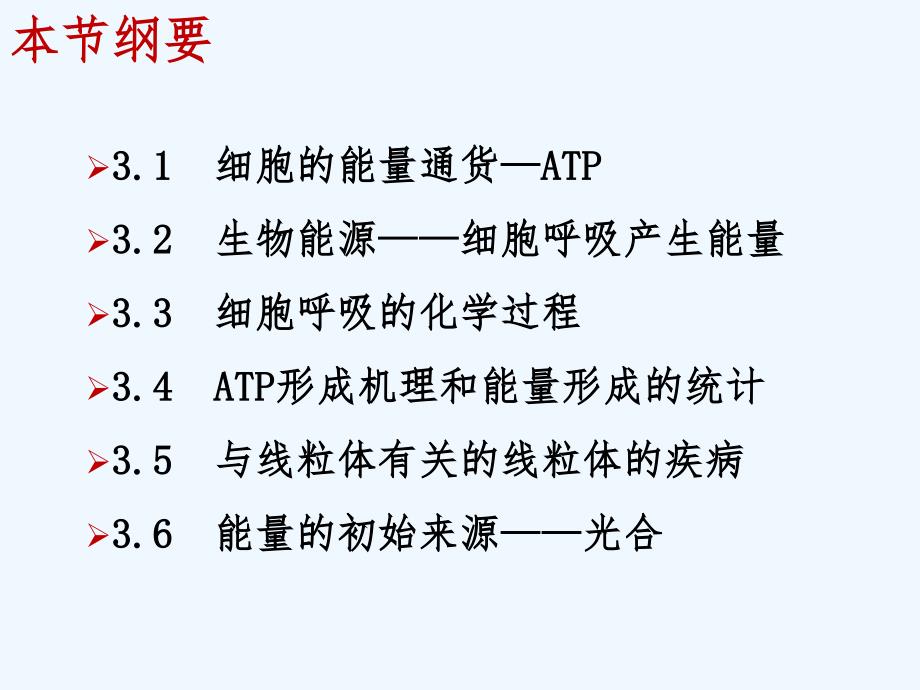 atp与生物能源_第2页