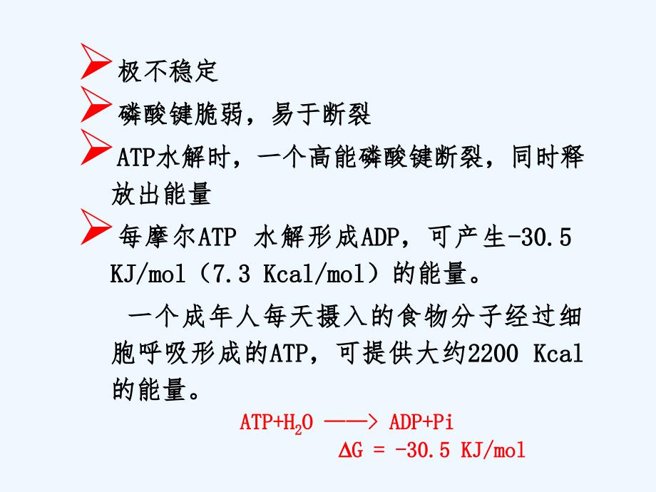 atp与生物能源_第4页