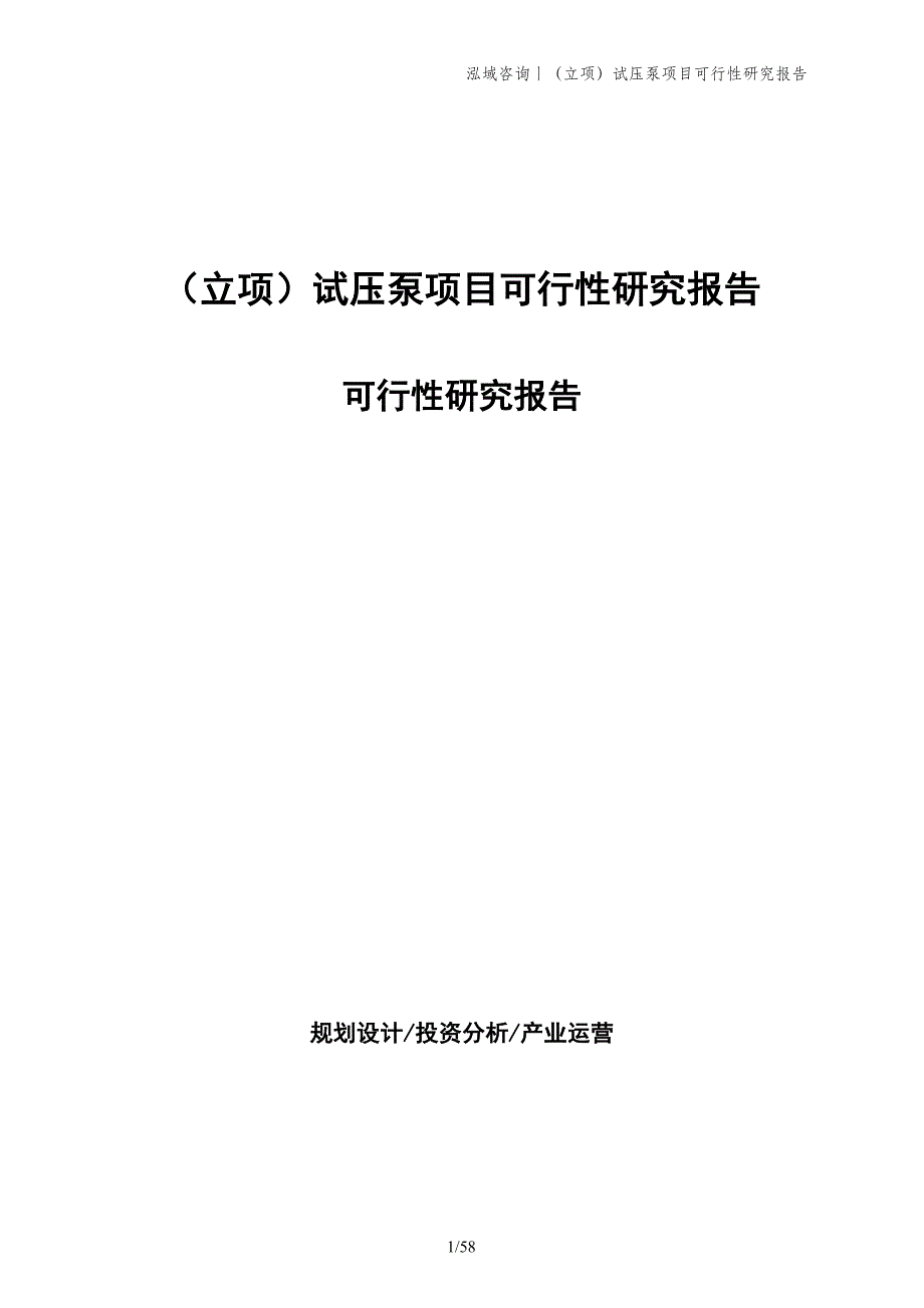 （立项）试压泵项目可行性研究报告_第1页