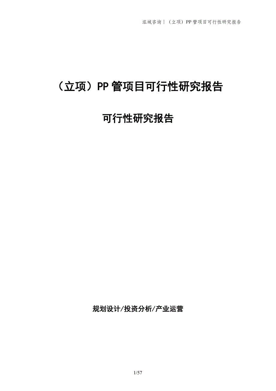 （立项）PP管项目可行性研究报告_第1页