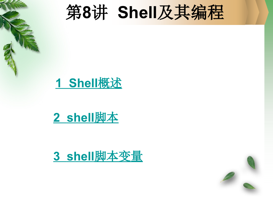 shell与其初级编程_第1页