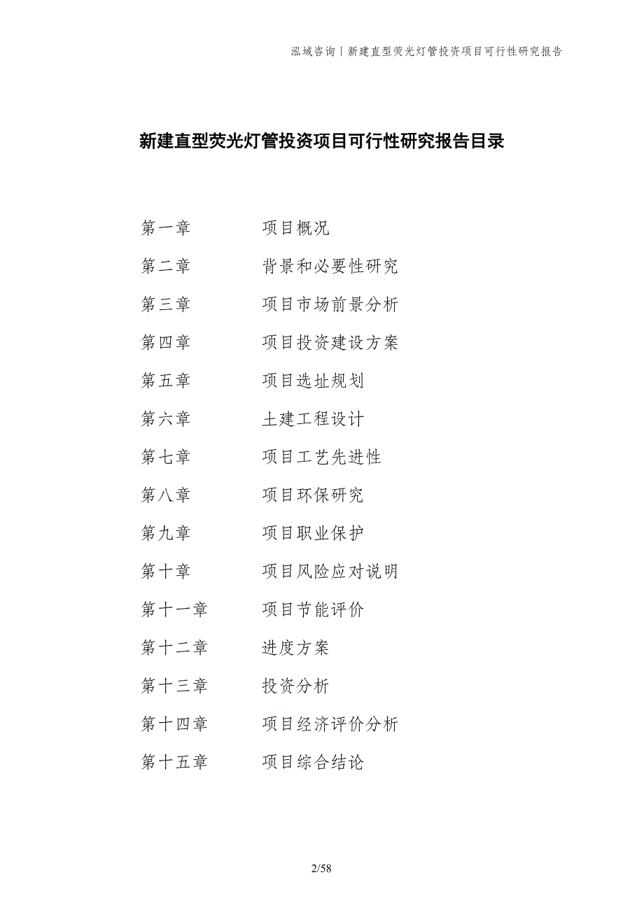 新建直型荧光灯管投资项目可行性研究报告_第2页