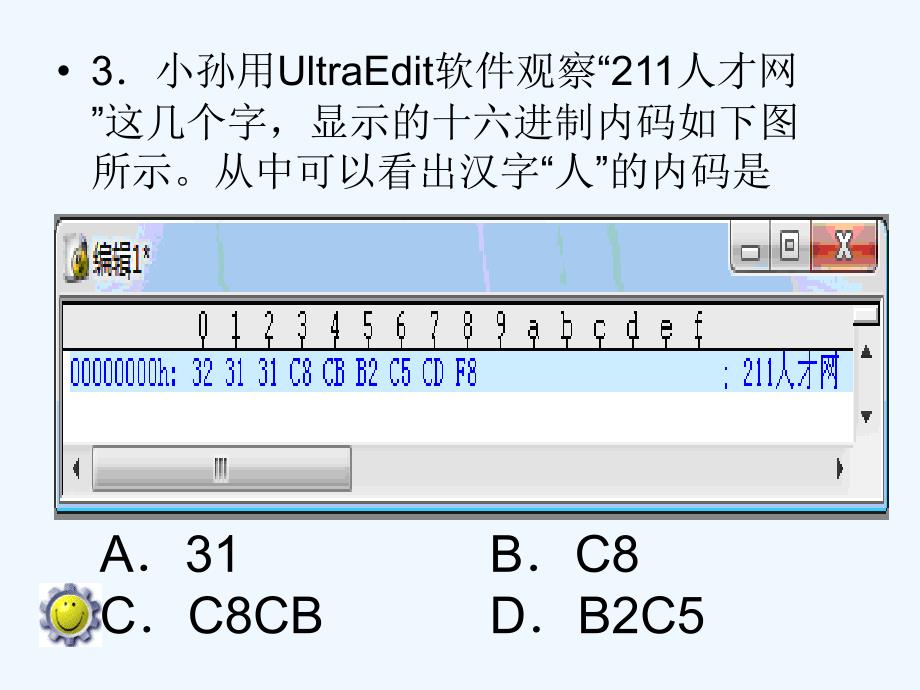 2010年3月普通高等学校招生浙江省统一考试信息技术试题解析_第4页