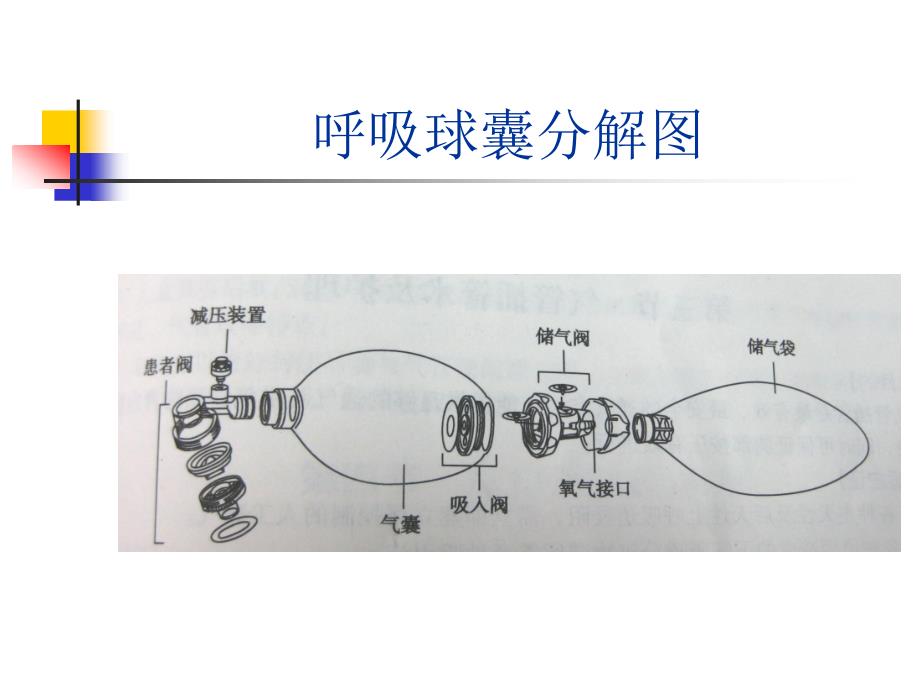 简易呼吸皮囊的检测与操作_第3页