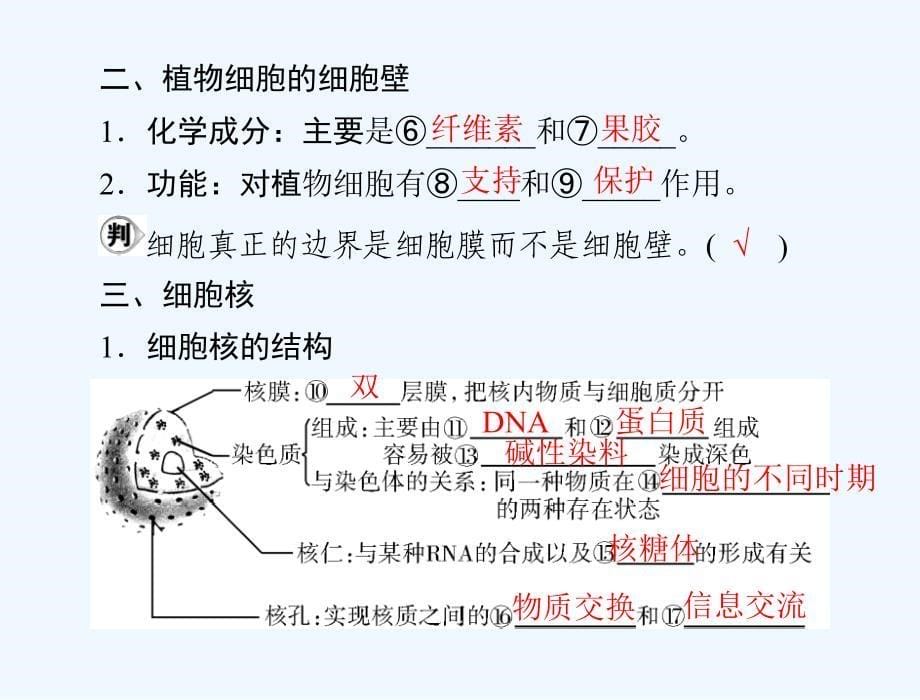 必修1+第3章+第1、3节+细胞膜——系统的边界、细胞核——系统的控制中心+_第5页