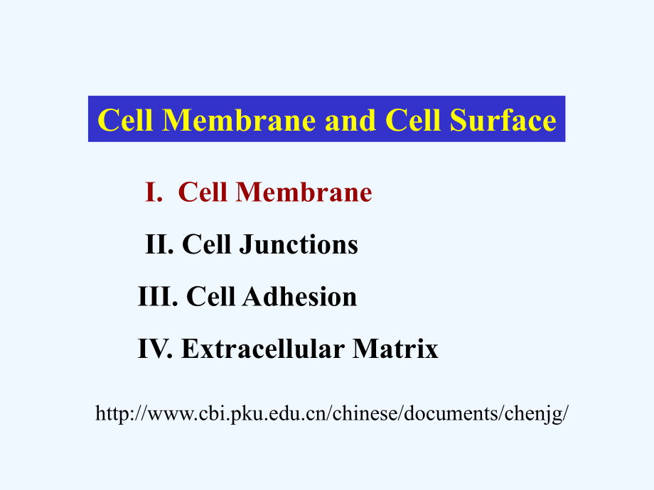 细胞质膜与细胞表面讲义_cell_membrane_and_cell_surface_第1页