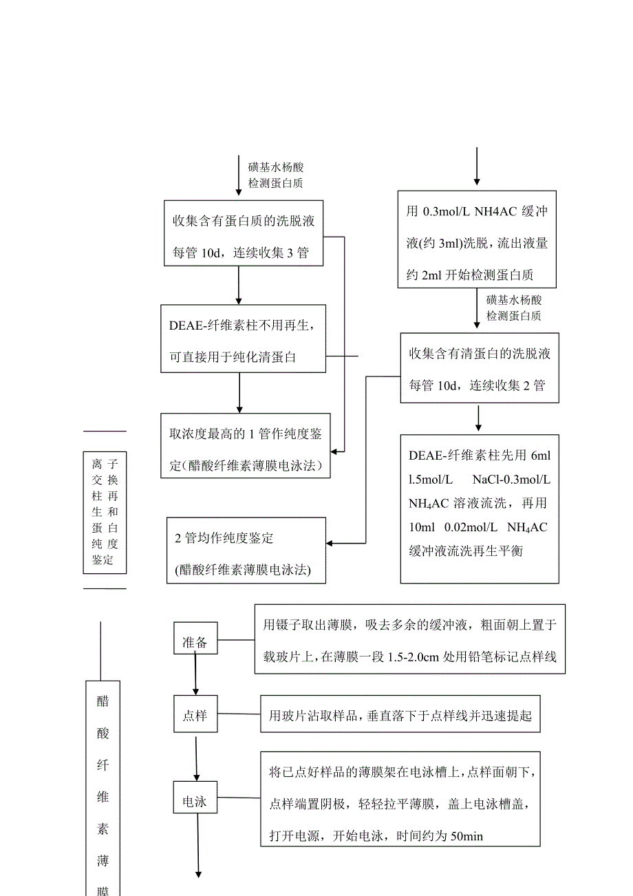 血清清蛋白、γ-球蛋白分离、纯化与纯度鉴定_第4页