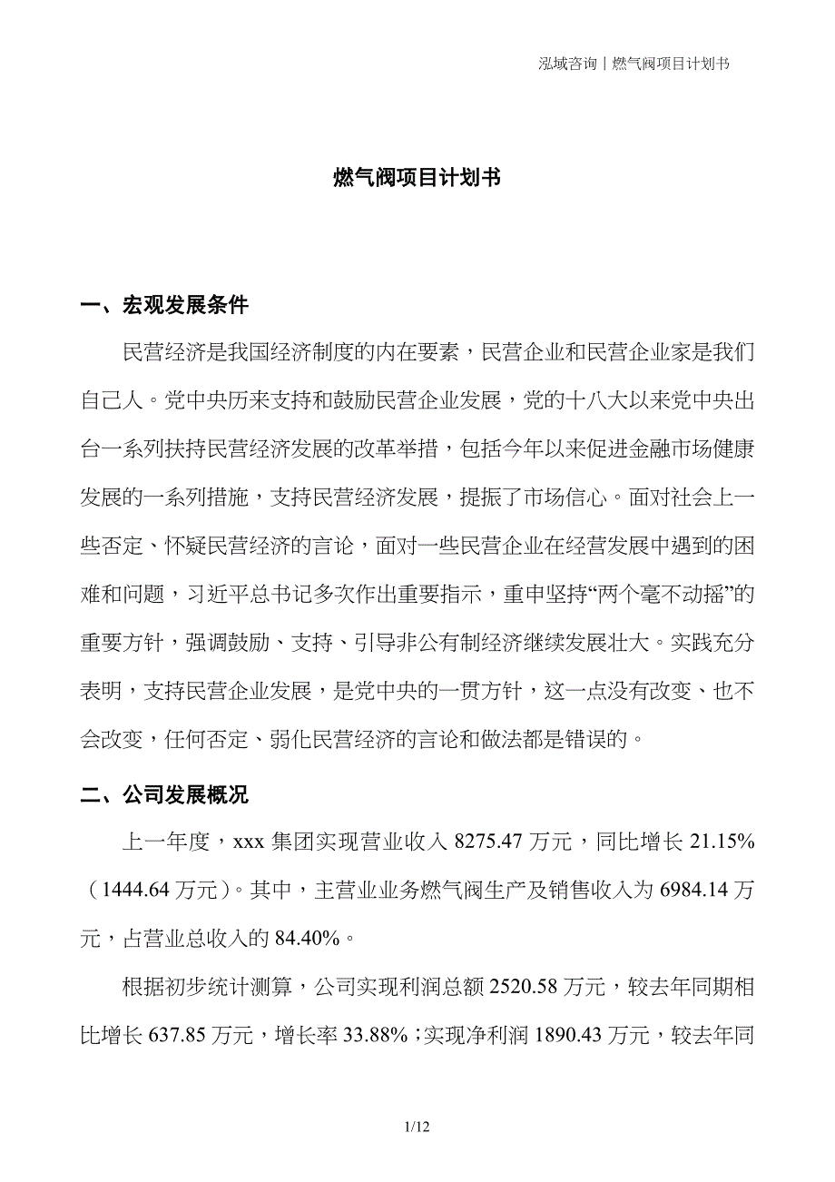 燃气阀项目计划书_第1页