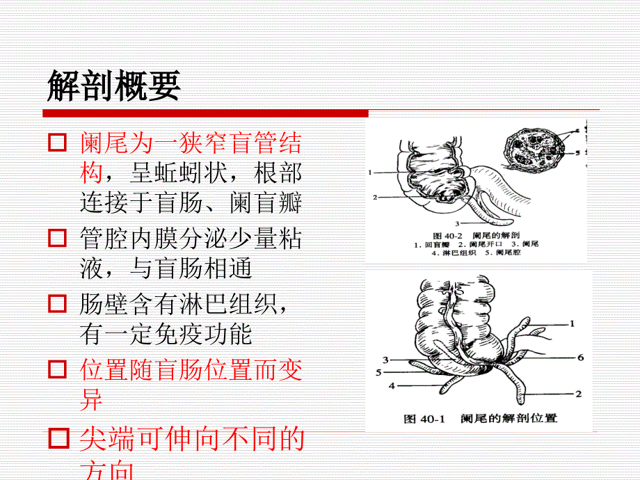 急性阑尾炎 护理查房_第4页