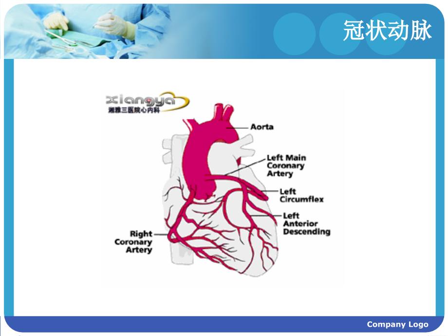 《冠心病患者的护理》_第2页