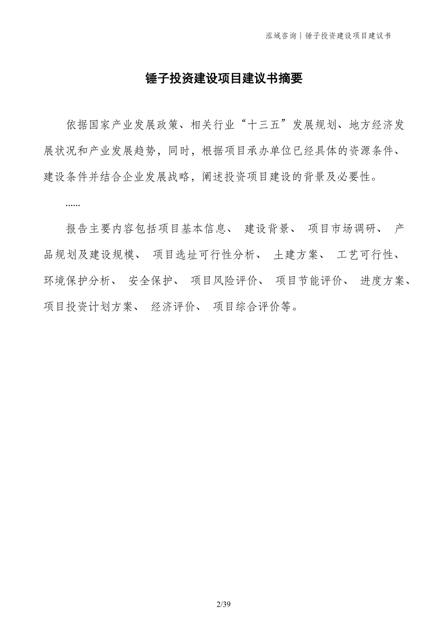 锤子投资建设项目建议书_第2页