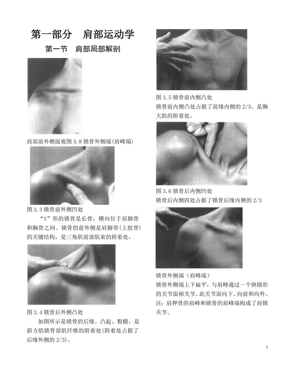 运动学——触诊解剖学-肩关节运动学_第1页