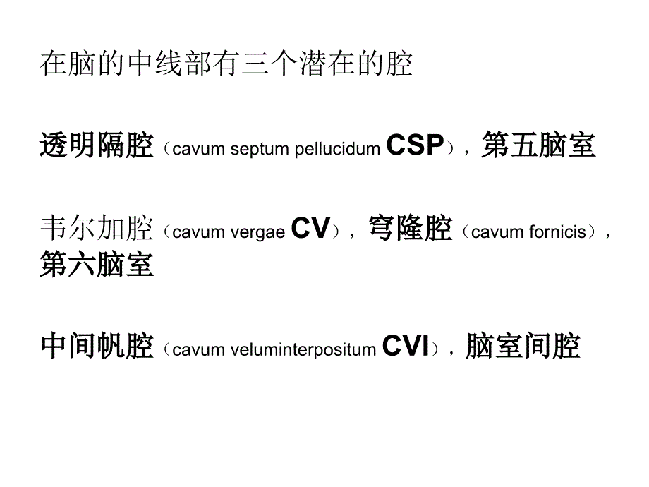 透明隔、帆腔详解及鉴别诊断_第2页