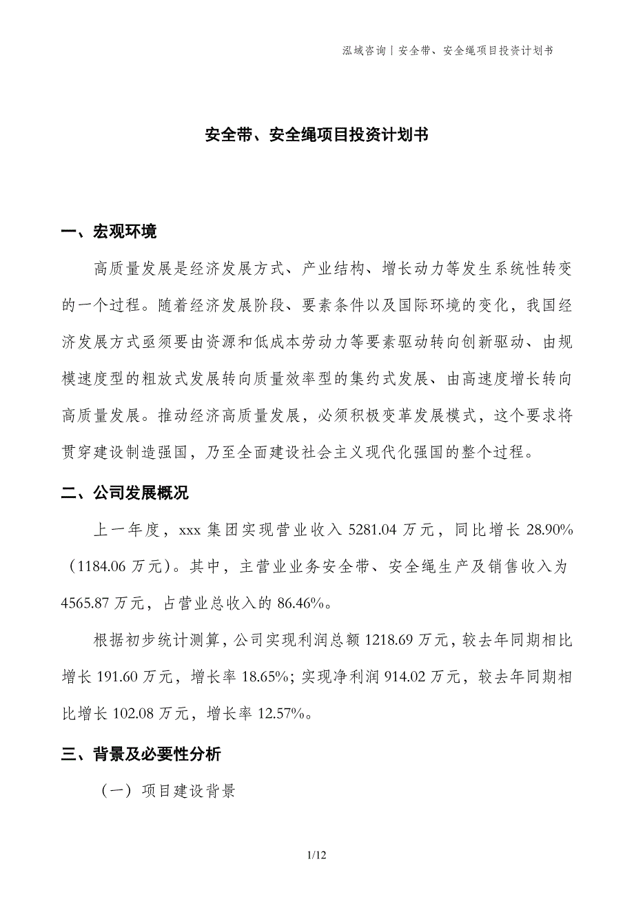 安全带、安全绳项目投资计划书 (1)_第1页