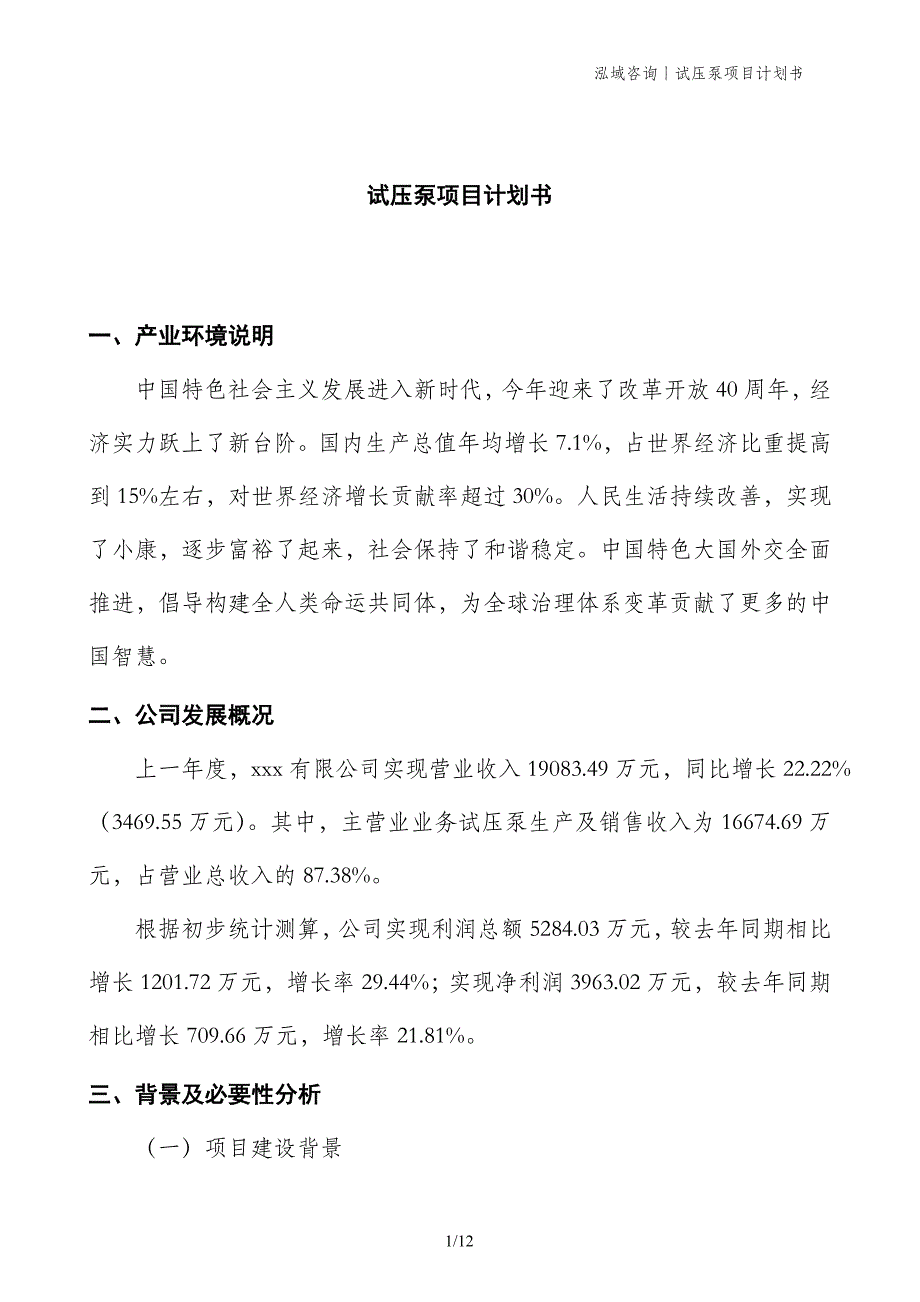 试压泵项目计划书_第1页