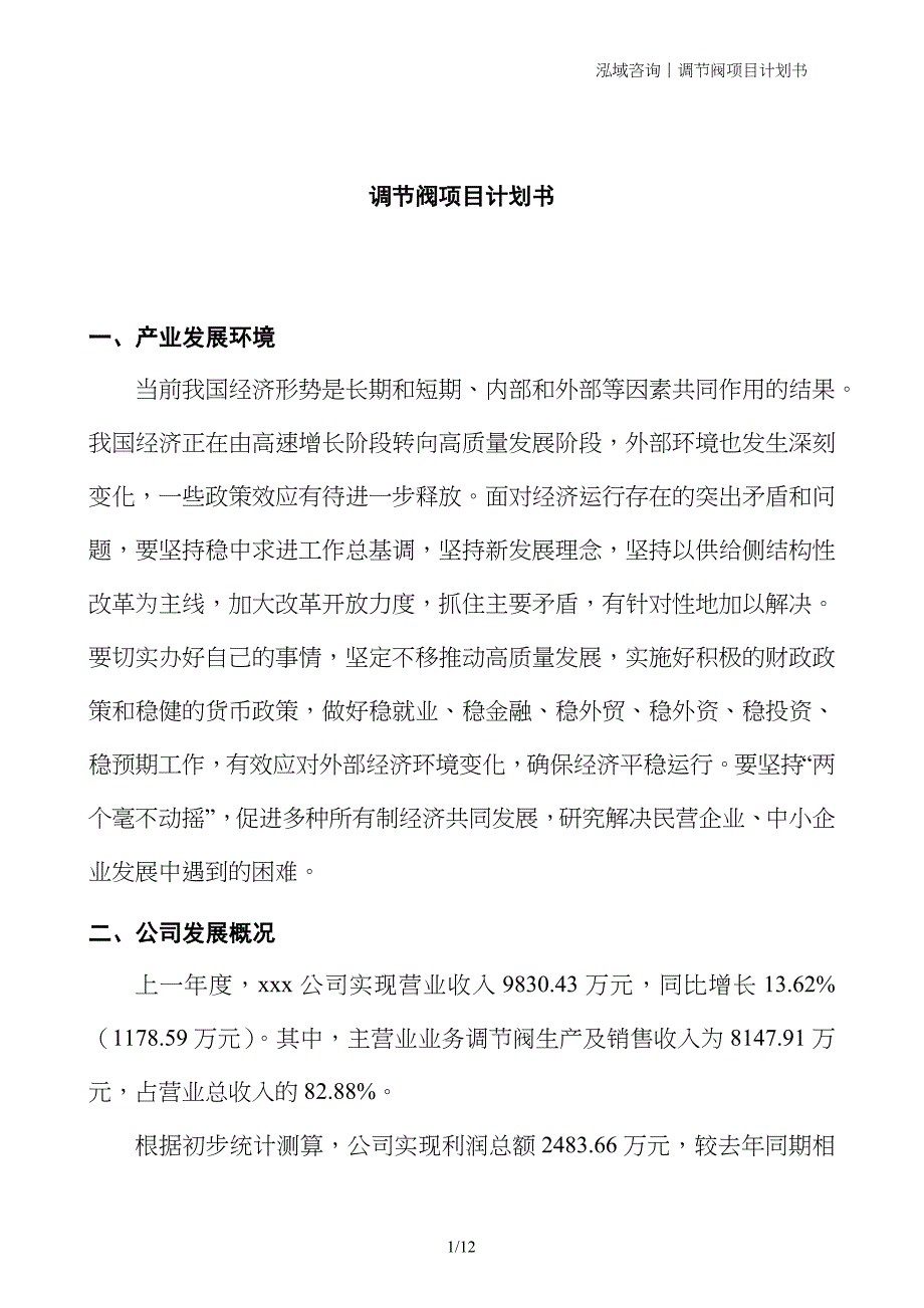 调节阀项目计划书_第1页