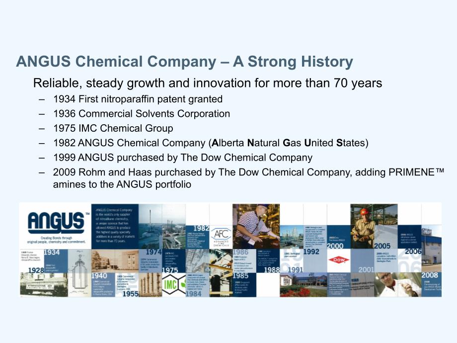 angus陶氏_chemical_company_draft_3_第2页