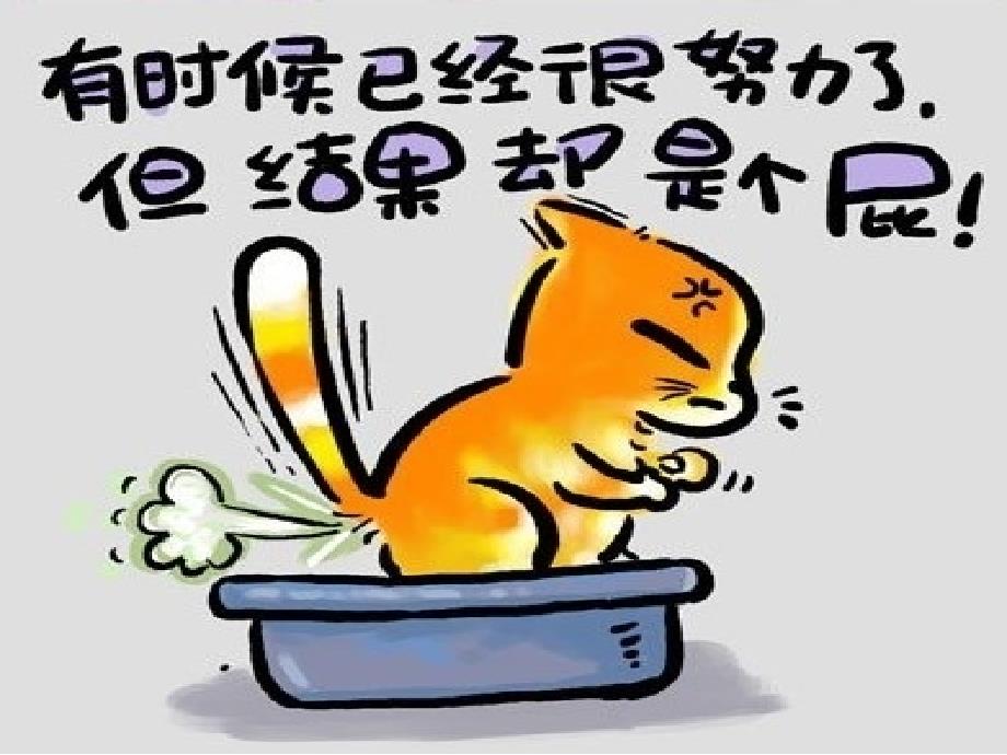 2010要想快乐，就学猫言猫语_第1页