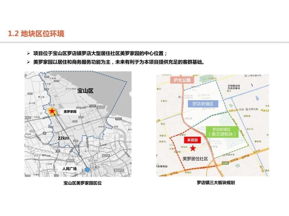 上海宝山罗店镇美罗社区项目定位报告_第5页