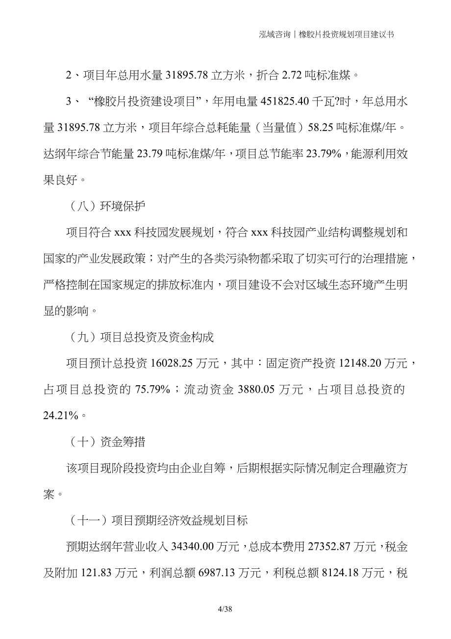 橡胶片投资规划项目建议书_第4页