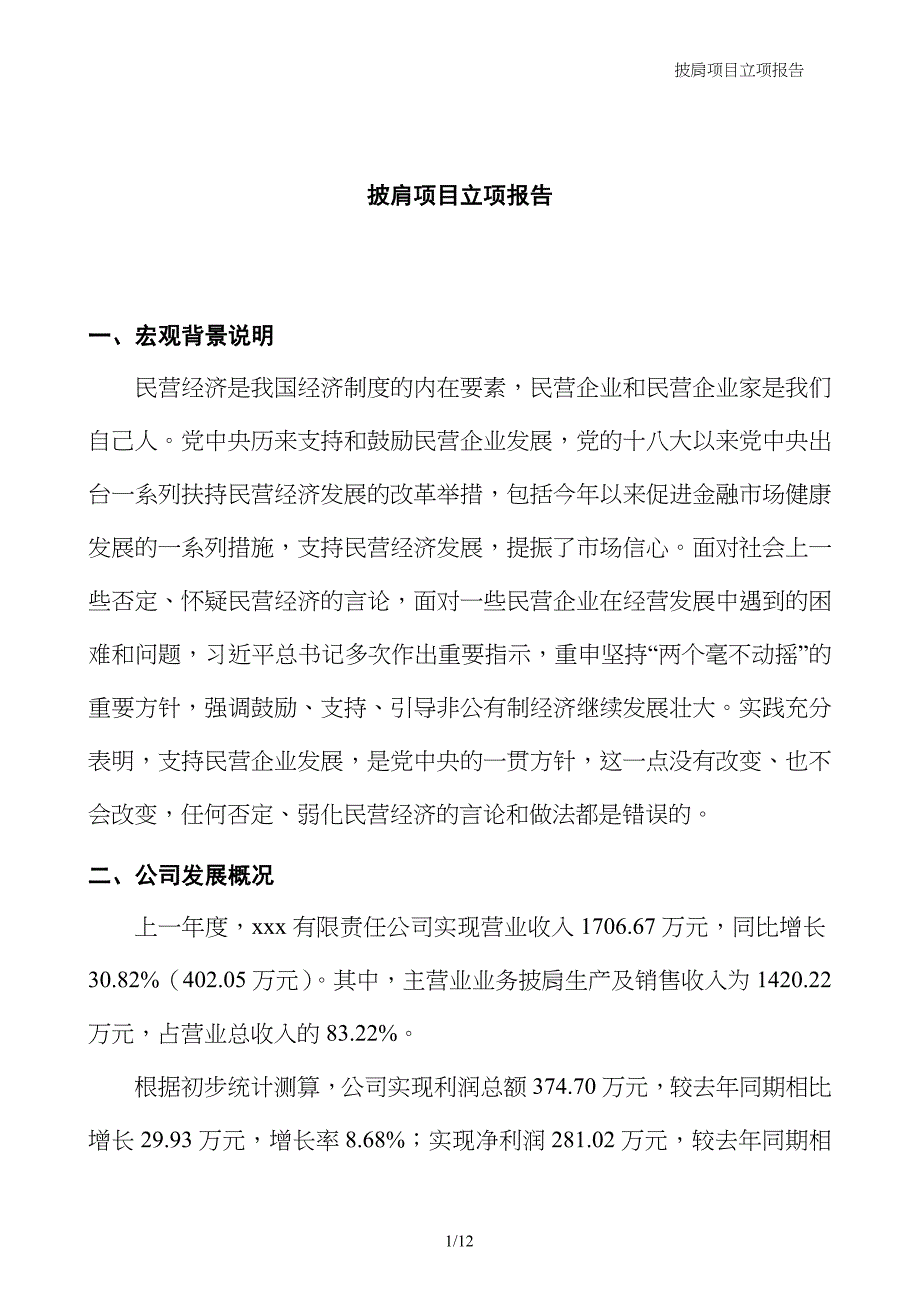 披肩项目立项报告_第1页