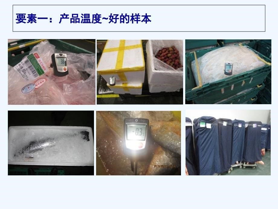 tesco生鲜食品冷链管控+20120618++中文+2_第5页